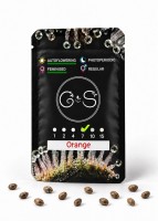 Auto Orange feminised Ganja Seeds