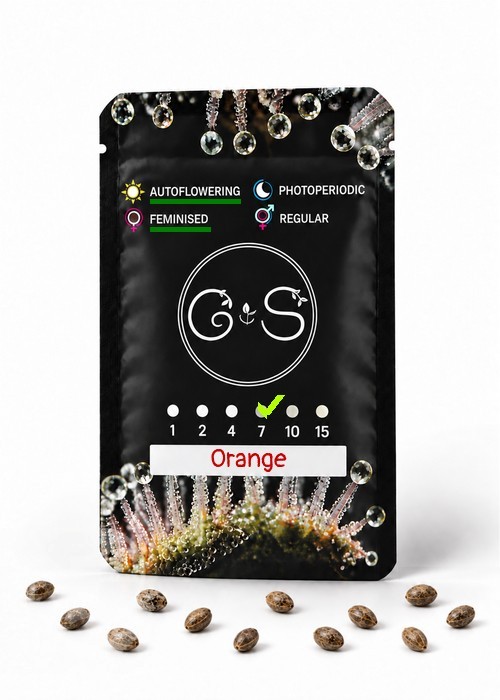 Семена конопли  Auto Orange feminised Ganja Seeds