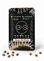 Dos-Si-Dos feminised Ganja Seeds