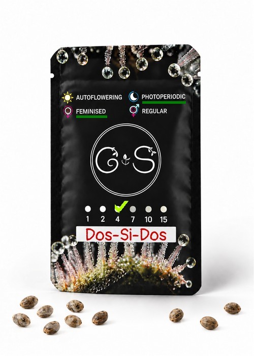 Семена конопли  Dos-Si-Dos feminised Ganja Seeds