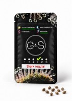 Auto Shark regular Ganja Seeds