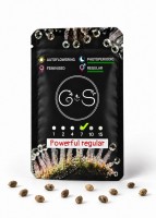 Powerful regular Ganja Seeds