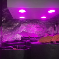 Гроубокс в сборе Джин 1200х1200х2000 + Гагарин 4