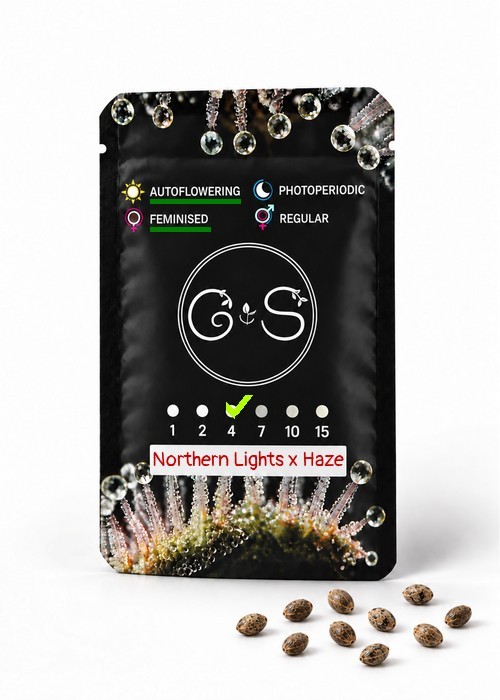 Семена конопли  Auto Northern Lights x Haze feminised Ganja Seeds