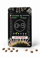 Auto Jet 47 regular Ganja Seeds