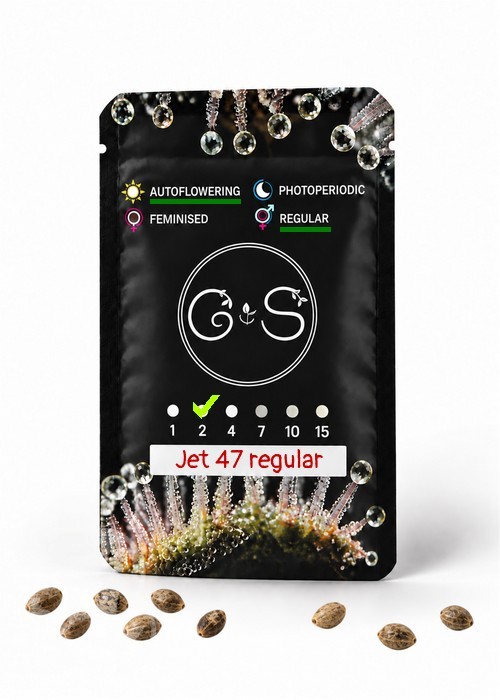 Семена конопли  Auto Jet 47 regular Ganja Seeds