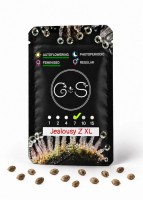 Auto Jealousy Z XL feminised Ganja Seeds