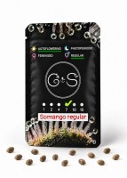 Auto Somango regular Ganja Seeds