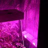 Гроубокс в сборе Джин 1400х1000х2000 + Гагарин 4 заказать