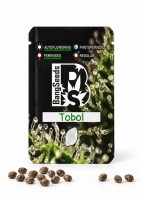 Auto Tobol feminised Bang Seeds