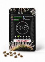 Auto Red Dwarf feminised Ganja Seeds