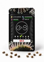 MIX feminised Ganja Seeds