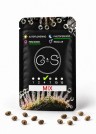 MIX feminised Ganja Seeds