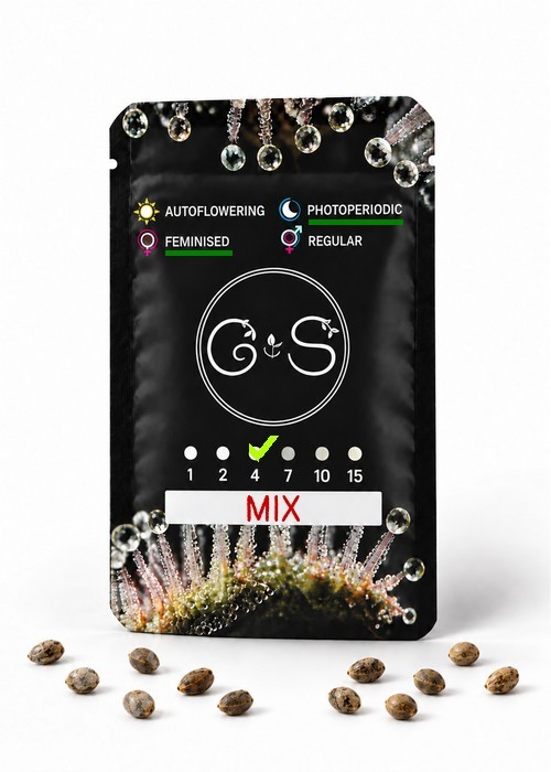 MIX feminised Ganja Seeds