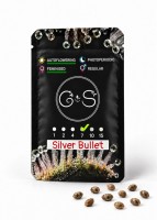 Auto Silver Bullet feminised Ganja Seeds