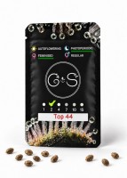 Top 44 feminised Ganja Seeds