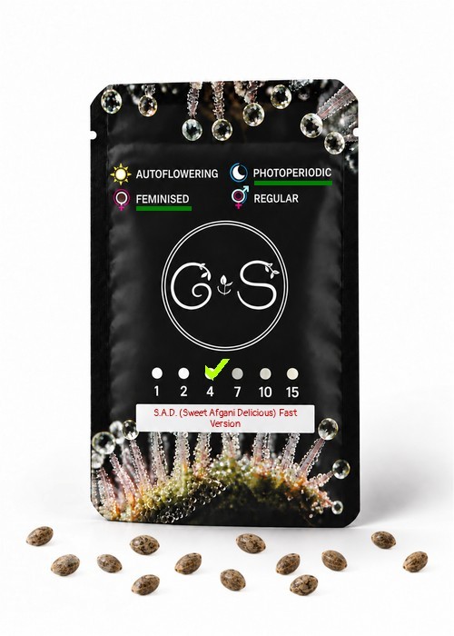 Семена конопли  S.A.D. (Sweet Afgani Delicious) feminised Ganja Seeds Fast Version