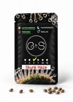 Auto Skunk Haze feminised Ganja Seeds