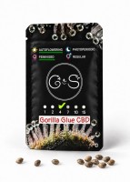 Auto Gorilla Glue CBD feminised Ganja Seeds