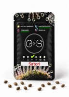 Satori feminised Ganja Seeds