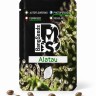 Alatau