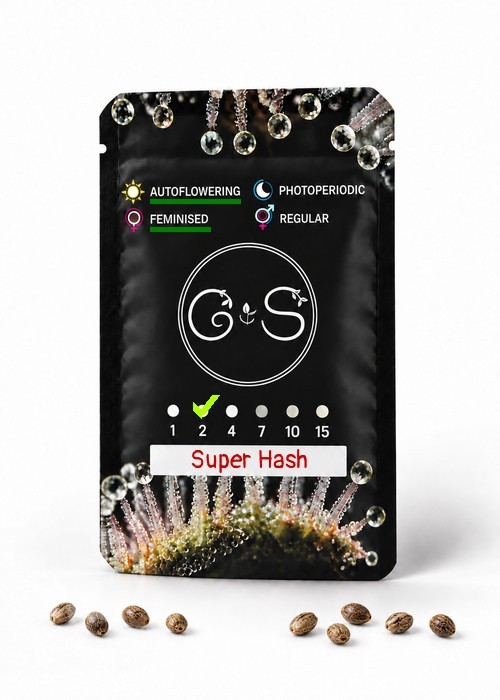 Семена  Auto Super Hash feminised Ganja Seeds