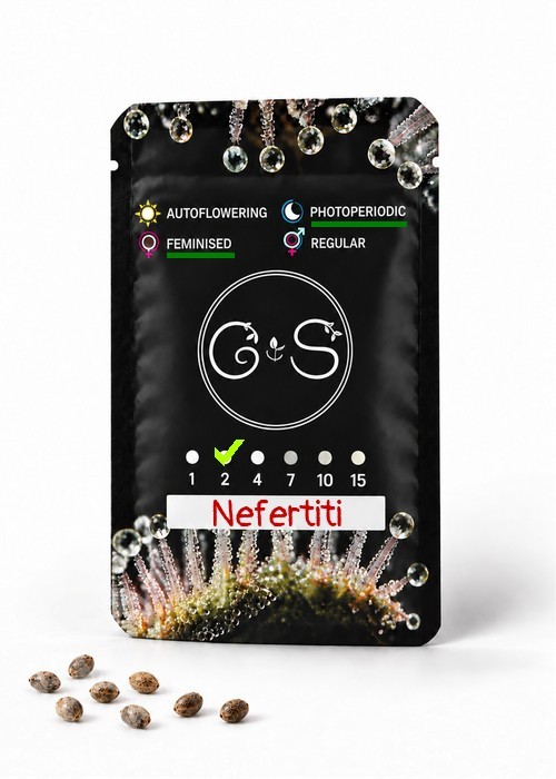 Семена конопли  Nefertiti feminised Ganja Seeds