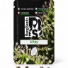 Altay