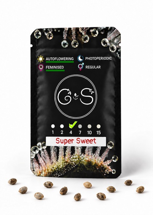 Семена ганжа  Auto Super Sweet feminised Ganja Seeds