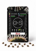 Blue feminised Ganja Seeds