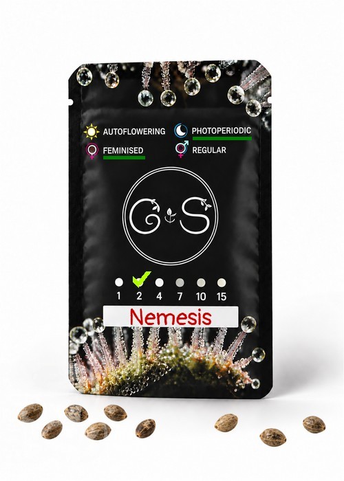 Семена конопли  Nemesis feminised Ganja Seeds