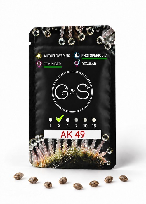 Семена  AK 49 feminised Ganja Seeds