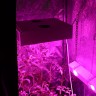 Гроубокс в сборе Джин 800х800х1600 + Гагарин 1 заказать