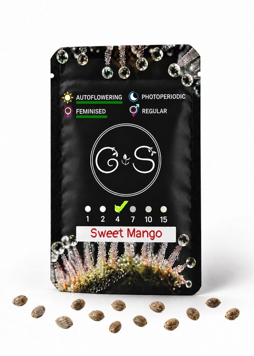 Семена марихуаны  Auto Sweet Mango feminised Ganja Seeds