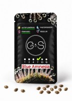 Auto Blue Amnesia feminised Ganja Seeds