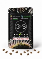 New York Diesel CBD feminised Ganja Seeds