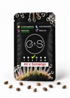 Auto AK x Somango feminised Ganja Seeds