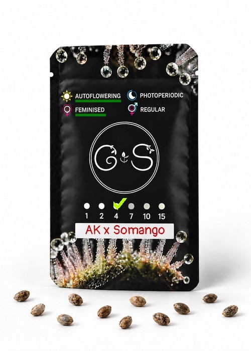 Семена конопли  Auto AK x Somango feminised Ganja Seeds
