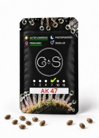 Auto AK 47 feminised Ganja Seeds