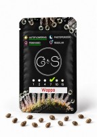 Auto Wappa feminised Ganja Seeds