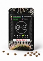 Auto White Berry feminised Ganja Seeds