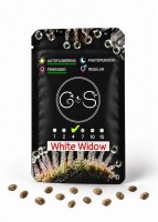 Auto White Widow feminised Ganja Seeds