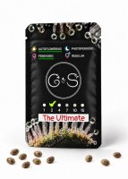 Auto The Ultimate feminised Ganja Seeds