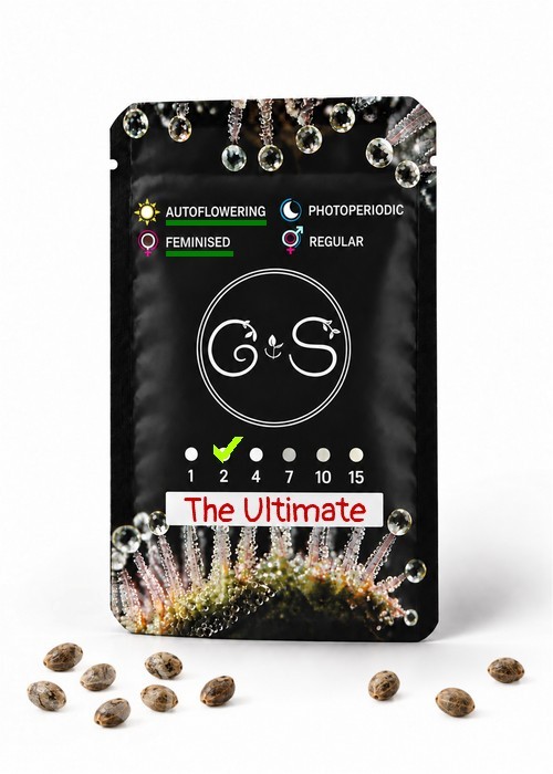 Семена ганжа  Auto The Ultimate feminised Ganja Seeds