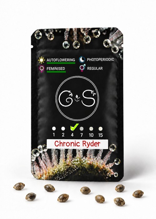 Семена ганжа  Auto Chronic Ryder feminised Ganja Seeds