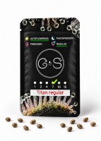 Auto Titan regular Ganja Seeds