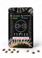 Auto Sweet Tooth x Somango feminised Ganja Seeds