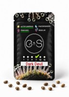 Auto Dark Devil feminised Ganja Seeds