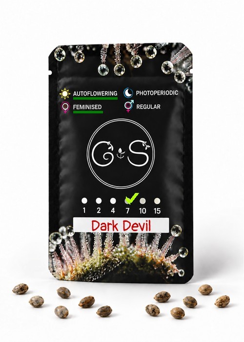 Семена марихуаны  Auto Dark Devil feminised Ganja Seeds