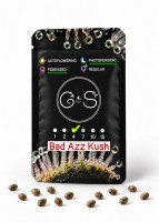 Bad Azz Kush feminised Ganja Seeds